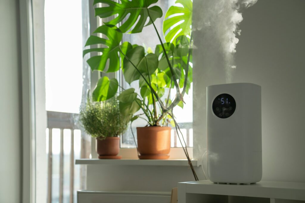 Modern humidifier at home, moistens dry air surrounded by indoor plant. Apartment with moisturizer.